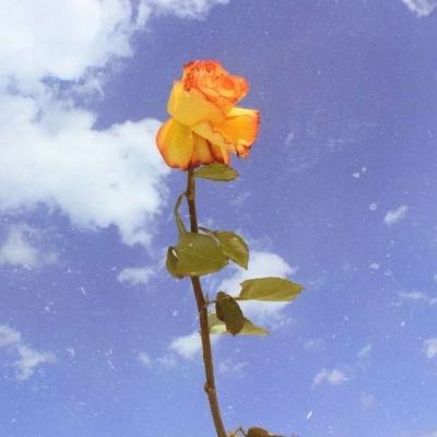 魔英崛起手游百度版下载